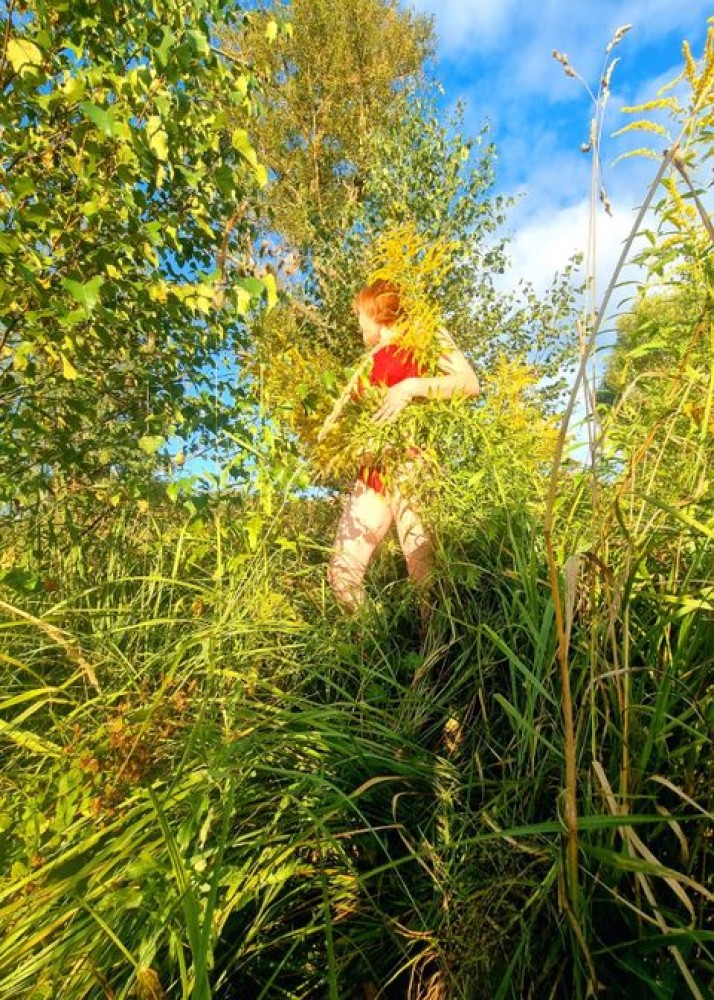 Индивидуалка Эля фото № 2 в городе Истра